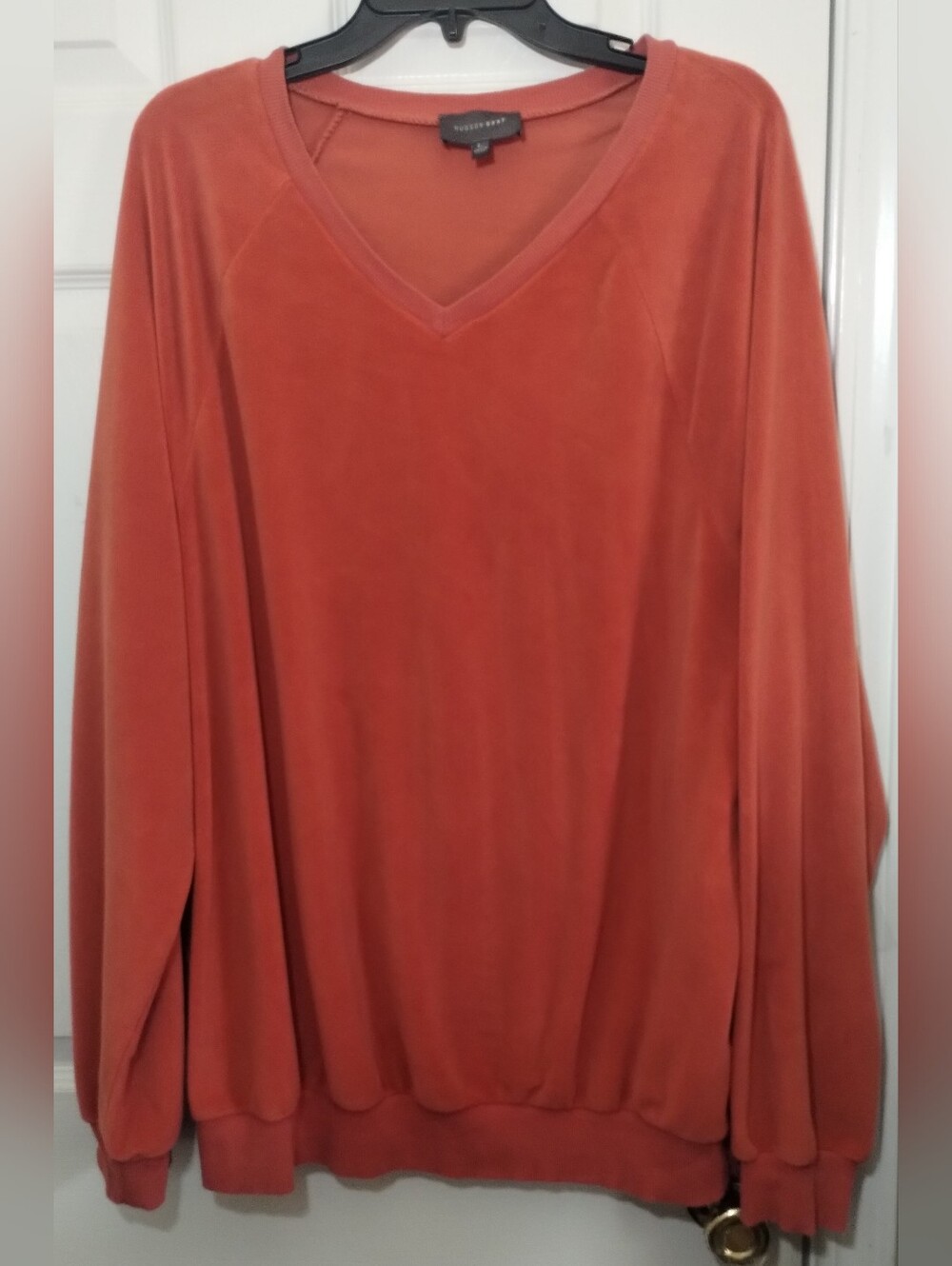 Hudson Gray Velour V-neck Pullover Soft Oversized Sweater in Rust/Orange